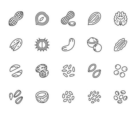 Cashew Tattoo, Pistachio Tattoo, Nut Tattoo, Peanut Tattoo, Healthy Food Store, Pine Seeds, Pixel Perfect, Vector Illustrations, Line Icon