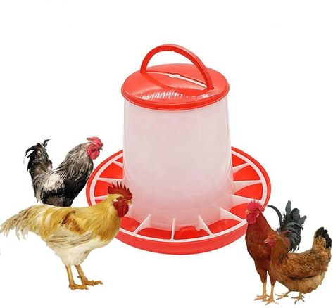 Poultry Feeders, Homemade Bird Feeders, Poultry Supplies, Backyard Poultry, Chicken Feeder, Chicken Chick, Food Dispenser, Baby Chickens, Chicken Feed