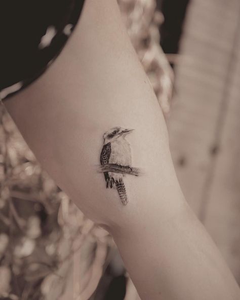 Kookaburra Tattoo, Aus Tattoo, Tattoo Single Needle, Australia Tattoo, Harry Tattoos, Australian Tattoo, Native Tattoos, Aquarius Tattoo, Coffee Tattoos