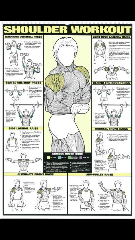 Full Shoulder Workout, Shoulder Workout Routine, My Workout Routine, Fitness Studio Training, Workout Gym Routine, Gym Workout Guide, Shoulder Training, Workout Program Gym, Trening Sztuk Walki