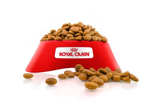 royal canin Pet Food Packaging, Royal Canin, Pet Food, Food Packaging, Dog Food Recipes, Food Animals, Packaging, Pet, Dog Food