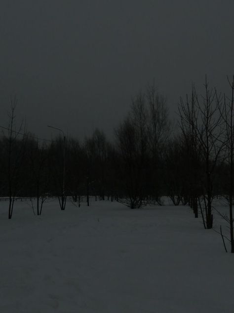 Grey Hour, Dark Naturalism, Creepy Core, Dark Landscape, Dark City, Dark Paradise, Winter Scenery, The Secret History, Winter Night