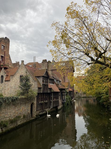 #autumn #belgium #vibes #aesthetic Brussels Belgium Aesthetic Summer, Windenburg Aesthetic, Antwerp Belgium Aesthetic, Brussels Aesthetic, Belgium Nature, Belgium Aesthetic, Belgium Trip, Charleroi Belgium, Holidays Abroad