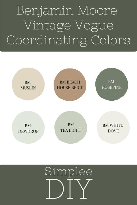 Discover why Vintage Vogue by Benjamin Moore is the perfect green for your home. This deep, sophisticated shade adds timeless elegance and versatility to any interior space. Learn how to incorporate it into your design effortlessly. Greenwich Gate Benjamin Moore, Bm Vintage Vogue Paint, Benjamin Moore Cottage Colors, Amazon Green Benjamin Moore, Hollingsworth Green Benjamin Moore, Vogue Green Sherwin Williams, Bm Vintage Vogue, Benjamin Moore Greens, Vintage Vogue Benjamin Moore