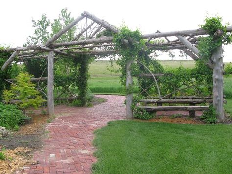 Natural cedar pergola | gardening | Pinterest | Natural, Cedar ... Rustic Cedar Log Pergola, Driftwood Pergola, Log Pergola, Missouri Farm, Rustic Gardening, Rustic Trellis, Cedar Fencing, Landing Ideas, Garden Archway