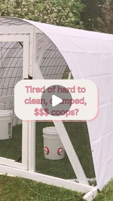 Natalie 🐓 Backyard Chicken Hoop Coop on Instagram: "Are you tired of cleaning struggles, overcrowding worries, predator threats, and costly wheel systems? You want to add chickens to your homestead or expand your flock, but don’t want to spend $$$ on costly chicken coops? 

Our hoop coop chicken tractor is a breeze to clean, easy to move to fresh grass, spacious, secure + budget friendly!

🎉The @CottonRiverFarm hoop coop is the perfect easy + affordable DIY solution!

Our FREE how-to build video shows you all the tips and tricks! 

Our blueprints, available for purchase, include all the details to build the coop, nesting box + wheel system!

💬Comment “blueprints” to get started!

👉🏻 Follow @CottonRiverFarm for more DIY builds, homestead hacks, and chicken keeping tips!

#HomesteadHack Hoop Coop, Homestead Hacks, Easy Diy Chicken Coop, Backyard Animals, Easy Chicken Coop, Duck Coop, Chicken Coup, Chicken Keeping, Chicken Tractor