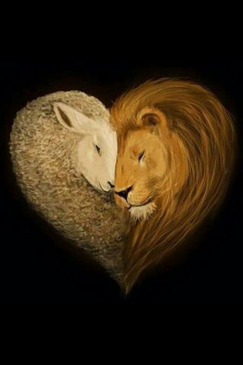 ❤ The Lion And The Lamb, Lion And The Lamb, Tattoo Lion, Lion And Lamb, Prophetic Art, The Lamb, Lion Of Judah, Jesus Art, Lion Tattoo