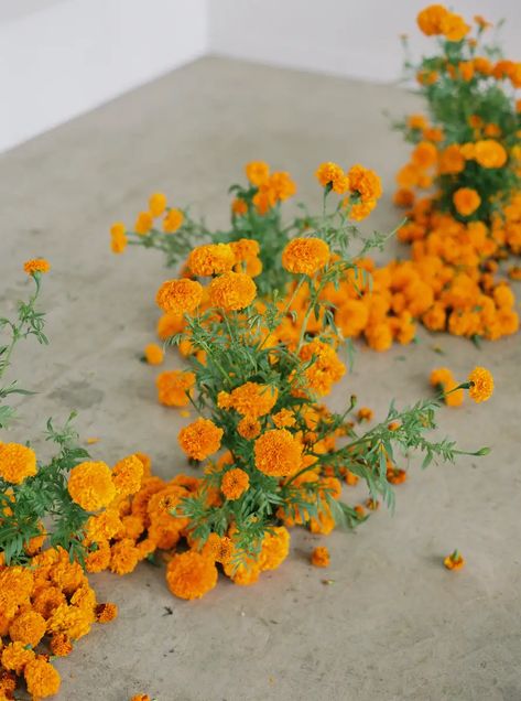 Marigold Aisle Ground Floral Installation, Marigold Wedding, Wedding Alters, Orange Wedding Flowers, Floral Installation, Wedding Shower Decorations, Boda Mexicana, Online Classroom, Marigold Flower