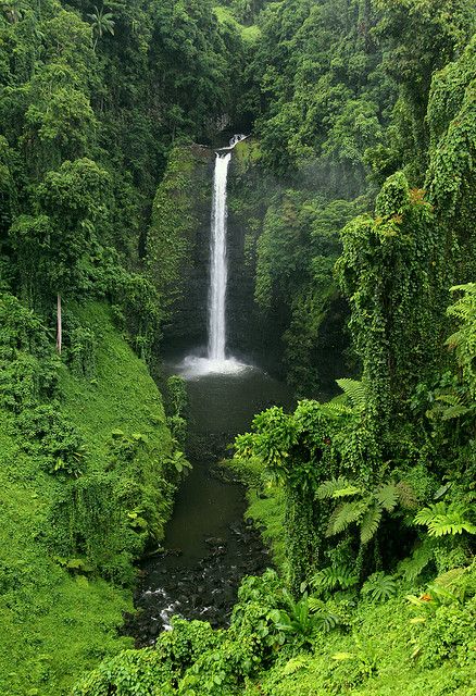 The Kingdom of Tonga - Waterfall in southern Upolu - this is a South Pacific Island and the last place over seas that I would love to visit. Tonga Island, Large Waterfall, South Pacific Islands, Chasing Waterfalls, Belle Nature, Air Terjun, Les Cascades, Beautiful Waterfalls, Tonga