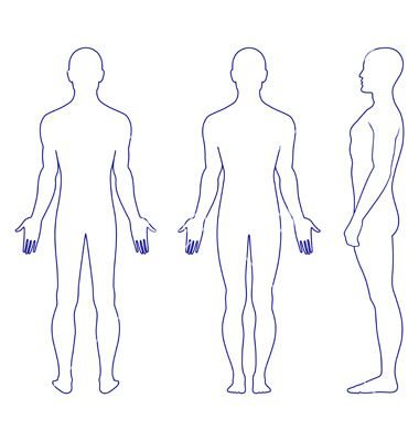 Naked standing man vector 659525 - by arlatis on VectorStock® Croquis Fashion, Human Body Organs, Body Diagram, Body Outline, Outline Images, Human Dna, Man Vector, Back View, Guy Pictures