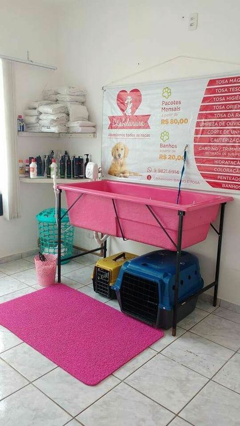 Grooming Tools For Dogs, She Shed Dog Grooming, In Home Grooming Salon Ideas, Diy Grooming Salon, Small Dog Grooming Salon Ideas, Pet Grooming Salon Ideas Design, Grooming Salon Ideas Design, Groomer Salon, Dog Grooming Salon Decor