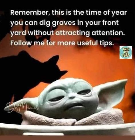 Halloween Meme, Yoda Halloween, Sayings About Life, Provoking Quotes, Yoda Funny, Halloween Memes, Thought Provoking Quotes, Kids Board, Good Humor