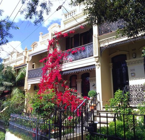 paddington sydney Paddington Terrace, Sydney Terrace, Sydney Suburbs, Paddington Sydney, Terrace House Exterior, Terrace Houses, Melbourne Cafe, House Styling, English Architecture