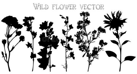 Wild Flowers Silhouette, Flora Drawings, Wild Leaves, Wild Flower Meadow, Flower Silhouette, Graphic Designer Portfolio, Leaves Vector, Ceramic Ideas, Black Silhouette