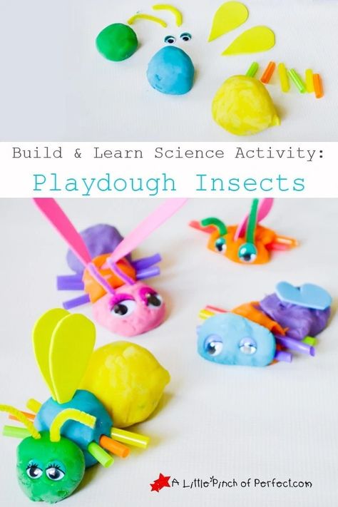 Preschool Bug Theme, Playdough Party, Learning Express, Bug Activities, Learn Science, Insects Preschool, Bugs Preschool, Insect Activities, Creepy Crawlers