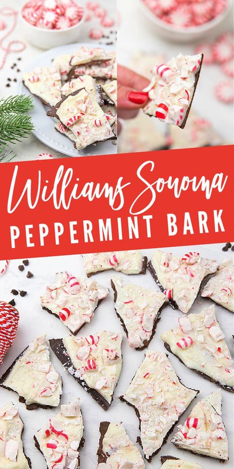 Williams Sonoma Peppermint Bark COPYCAT Recipe! Peppermint Bark Recipe, Peppermint Dessert, Peppermint Bark Recipes, Christmas Baking Cookies, Festive Appetizers, Easy Christmas Treats, Peppermint White, Tea Time Food, Peppermint Hot Chocolate