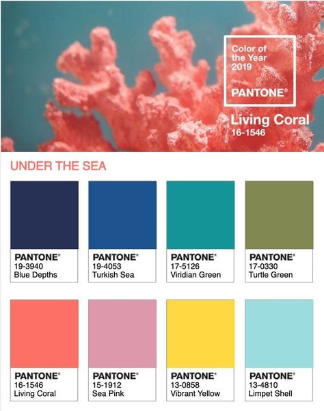 Coral Colour Scheme, Coastal Beach Color Palette, Reef Color Palette, Under The Sea Palette, Sea Color Pallette, Coral Reef Palette, Coral Reef Mood Board, Under The Sea Colour Palette, Coral Reef Color Palette