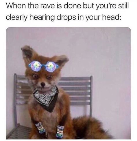 Rave Memes, Sassy Meme, Don Diablo, Rave Fits, Tool Room, Ultra Music Festival, Timmy T, Steve Aoki, Armin Van Buuren