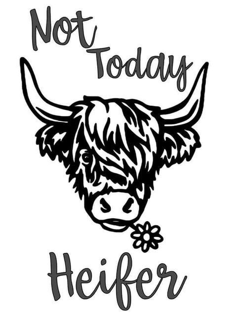 Cricut T Shirt Ideas, Cow Cricut, Diy Water Feature, Coloring Pages Inspirational, T Shirt Ideas, Country Signs, Holiday Costumes, Cow Shirt, Cowboy Art