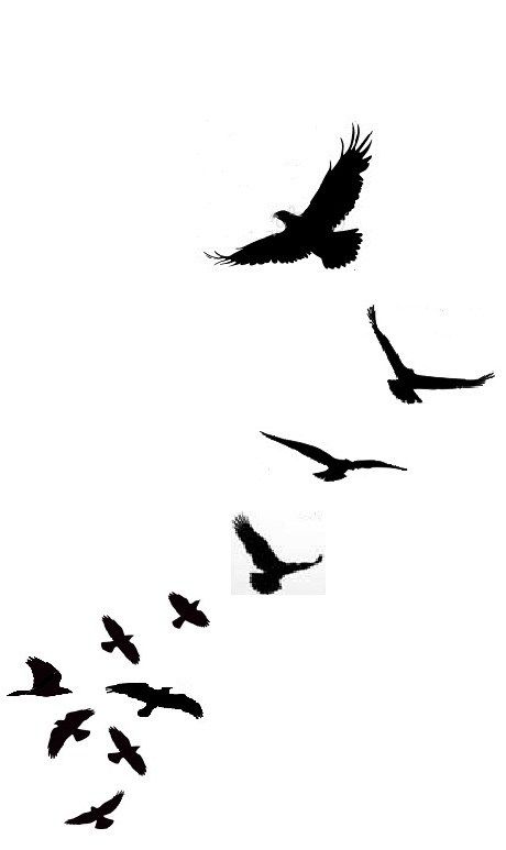 Birds Tattoo Design Men, Flock Of Crows Tattoo, Ravens Tattoo Design, Flying Raven Tattoo, Simple Crow Tattoo, Crow Tattoo For Men, Birds Tattoo Design, Flying Crows, Cliche Tattoo