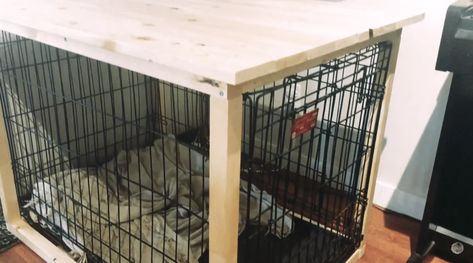 Diy Dog Crate Cabinet, Stacked Dog Crates Diy, Diy Modern Dog Crate, Diy Dog Crate Table, Diy Dog Crate Cover Wood, Dog Kennel Nightstand Diy, Dog Kennel Wood Top Diy, Dog Crate Topper Diy, Diy Wood Dog Crate Cover