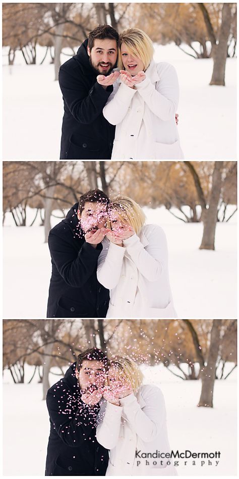 Confetti gender reveal..but this is so cute too!!! Winter Baby Gender Reveal Ideas, Winter Gender Reveal Ideas, Gender Reveal Winter, Winter Gender Reveal, Gender Reveal Pictures, Blowing Glitter, Gender Reveal Photography, Christmas Gender Reveal, Gender Announcement