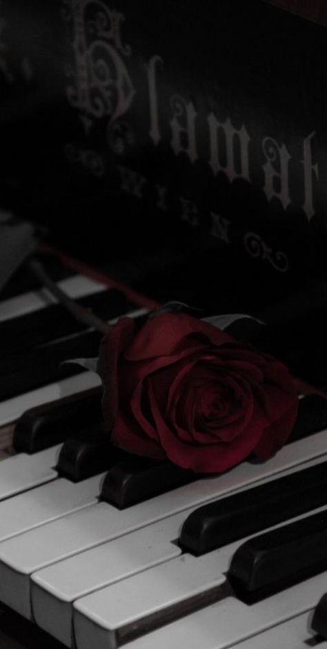 Dark Red Roses, Dark Red Wallpaper, Nothing But Flowers, Images Esthétiques, Beautiful Dark Art, Cool Wallpapers Art, Fantasy Aesthetic, Rose Wallpaper, Music Wallpaper