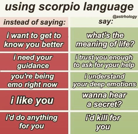 Scorpio Crush, Scorpio Playlist, Zodiac Mind Scorpio, Zodiac Quotes Scorpio, Scorpio Art, Astrology Scorpio, Taurus And Scorpio, Zodiac Signs Chart, Scorpio Zodiac Facts