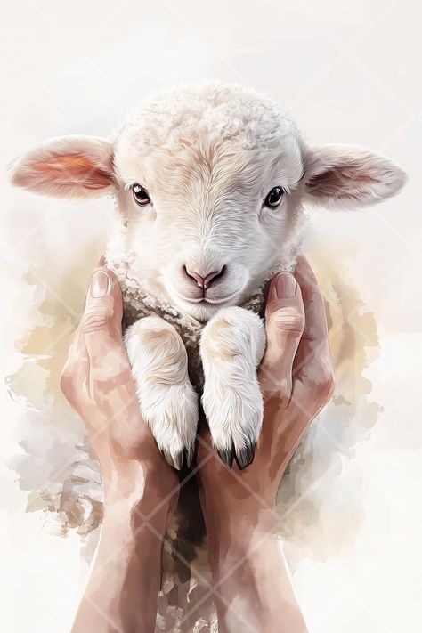 Jesus the Good Shepherd Holding the Lost Lamb - Watercolor Printable Wall Art - Digital Download for Personal Use Only BEST DEAL BUNDLE  https://touchedbylightimages.etsy.com/listing/1791707235/christian-wall-art-bundle-featuring-the This beautiful watercolor artwork depicts Jesus the Good Shepherd gently holding the lost lamb, symbolizing care, compassion, and faith. Perfect for adding a touch of inspiration and serenity to your home or church decor, this religious image is ideal for anyone see I Am The Potter You Are The Clay God, Jesus With Sheep, Jesus Holding Lamb, Jesus With Lamb, Lamb Logo, Faith Images, Jesus And Lamb, Lamb Painting, Sheep Watercolor