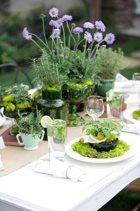 Herb Wedding Centerpieces, Herb Centerpieces, Herb Wedding, Creative Wedding Centerpieces, Garden Wedding Centerpieces, Wedding Guest Table, Colin Cowie Wedding, Creative Centerpieces, Plant Table