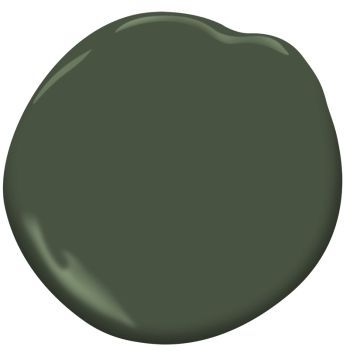 Chimichurri Paint, Benjamin Moore Chimichurri, Benjamin Moore Colors, Dining Room Walls, Benjamin Moore, Paint Color, Color Shades, Spice Things Up, New Homes