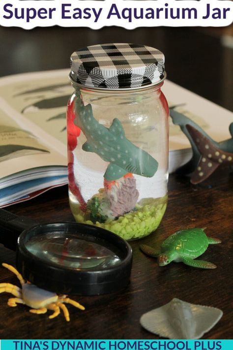 Super Easy and Fun Aquarium Jar Craft For Summer Activities for Middle Schoolers. Your kids will love this fun aquarium jar craft for summer activities for middle schoolers. Whether you’re diving into a study about the oceans or doing a shark unit study, hands-on activities are the way to go. Either use an upcycled jar or a mason jar from Dollar Tree. This easy aquarium craft for summer activities for middle schoolers is a multisensory approach to learning. #summeractivitiesformiddleschoolers Aquarium Jar, Activities For Middle Schoolers, Ocean Unit Study, Jar Aquarium, Craft For Summer, Aquarium Craft, Summer Homeschool, Summer Arts And Crafts, Plastic Mason Jars