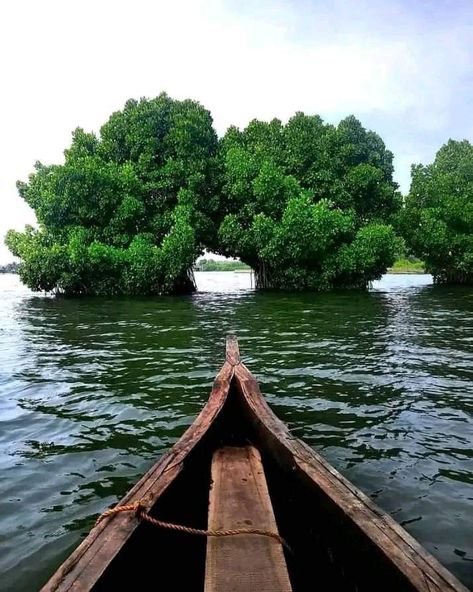 Munroe Island, Kollam, Kerala Munroe Island, Kollam Kerala, Dream Places, Cute Love Songs, Kerala, Photo Poses, Cute Love, Bucket List, Quick Saves