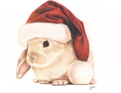 Santa bunny! Christmas Sketching, Magic Doodle, Christmas Sketch, Lapin Art, Drawing Christmas, Animals Drawing, Christmas Bunny, Bunny Drawing, Animal Drawing