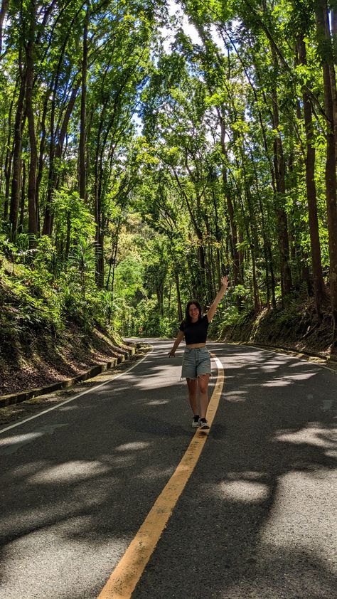 Taking a walk in the Man made forest in Bohol, Philippines!!! To recreate the outfit: •black t-shirt •blue jeans short Bohol Philippines Outfit, Philippines Outfit, Bohol Philippines, Taking A Walk, Bohol, Outfit Black, Posing Ideas, Blue Jean Shorts, The Outfit