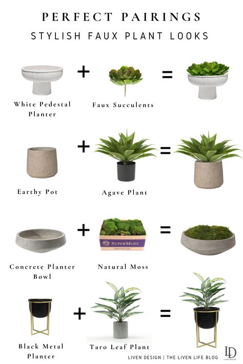 Style Plants, Cozy Condo, Indoor Vegetables, Vegetable Garden Planning, Hair Salon Decor, Inside Plants, Best Indoor Plants, Outdoor Pots, Indoor Plant Pots