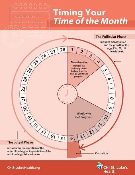 Menstrual Cycle Infographic Fertility Chart Menstrual Cycle, Period Chart Menstrual, Menstrual Cycle Days, How To Track Period, Tracking Your Cycle, How To Track Your Period, How To Track Ovulation Cycle, Ovulation Tracking Journal, Menstrual Facts