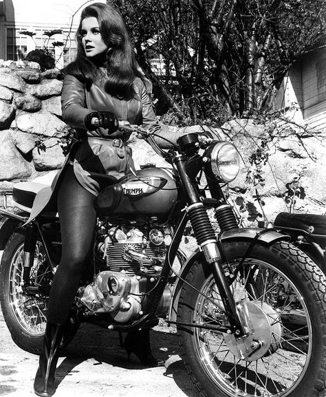 Anne Margaret - Triumph  Not just a poser--she rode her own Triumph T100, Triumph Motorbikes, Moto Triumph, Kickass Women, Motos Vintage, Bridget Bardot, Old Motorcycles, Ann Margret, Triumph Bonneville