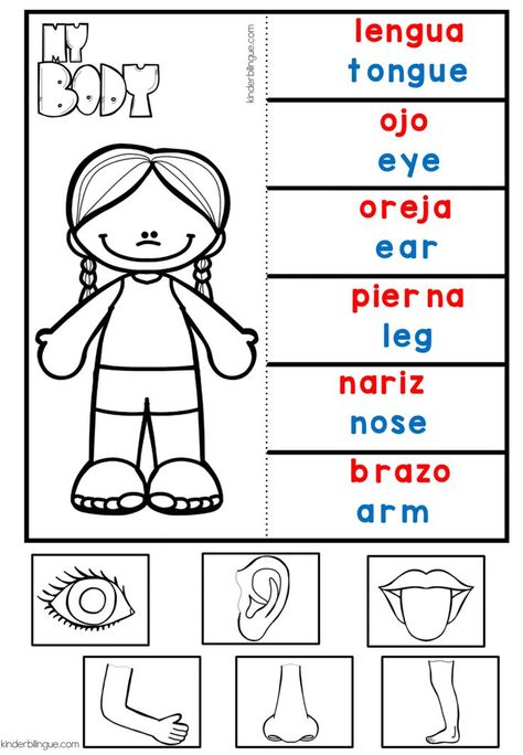 Preschool Spanish Lessons, Spanish Reading Activities, Bilingual Kindergarten, Education Worksheets, Bilingual Activities, Spanish Learning Activities, Preschool Spanish, Spanish Classroom Activities, Homeschool Spanish