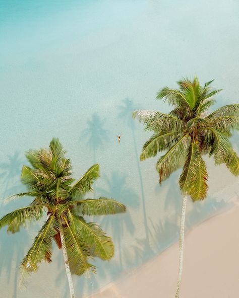 Slow mornings in Koh Kood, Thailand 🌴 I love fast-paced travel, but I also love those slow days like these where you can just relax and enjoy the view. A week on a tiny island was exactly what I needed. #kohkood #kohkoodisland #kohkoodthailand #thailandtrip #thailandinstagram #amazingthailand #islandlifestyle #islandliving #islandparadise #sandandsea #palmtreesfordays Koh Kood, Slow Days, Tiny Island, Island Life Style, Island Living, Fast Paced, Just Relax, Thailand Travel, The View