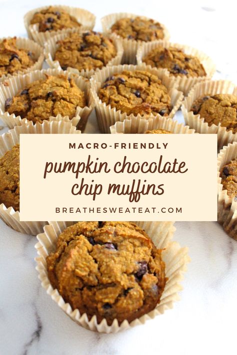 Macro Friendly Muffins Gluten Free, Pumpkin Chocolate Chip Muffins Protein, Macro Pumpkin Muffins, Macro Friendly Recipes Gluten Free Dairy Free, Macro Friendly Baking Recipes, Macro Friendly Chocolate Desserts, Pumpkin Macro Recipes, Macro Friendly Thanksgiving Dessert, Macro Friendly Breakfast Muffins