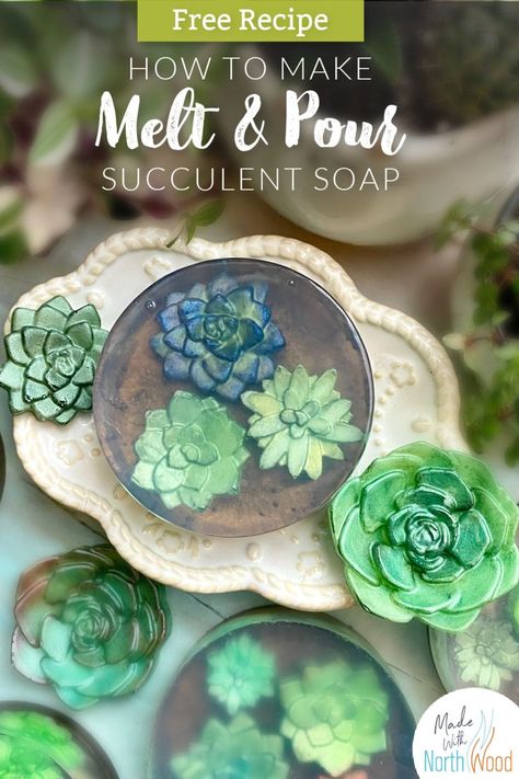 succulent soap bars made with melt & pour soap Succulent Soap, Soap Embeds, Bars Of Soap, Soap Tutorial, Soap Recipe, Melt And Pour, Glass Terrarium, Soap Recipes, Succulents Diy