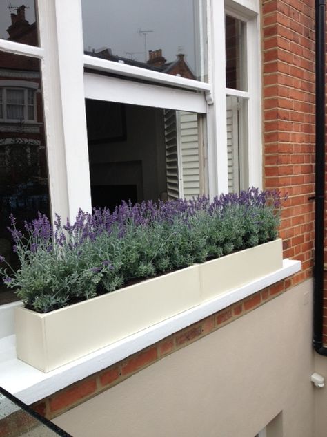 Cream windowboxes filled with faux lavender plants for a fresh spring/sumer look Window Boxes Ideas, Pots Ideas, Boxes Ideas, Interior Window Shutters, Window Plants, Window Box Flowers, Window Planters, Balcony Flowers, Fake Plants Decor