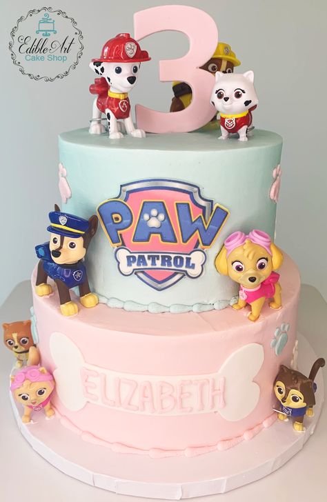 Pastel Paw Patrol, Paw Patrol Birthday Party Cake, Skye Paw Patrol Party, Paw Patrol Cake, Paw Patrol Birthday Party, Patrol Party, 2nd Birthday Party Themes, Happy Birthday Baby, Paw Patrol Party