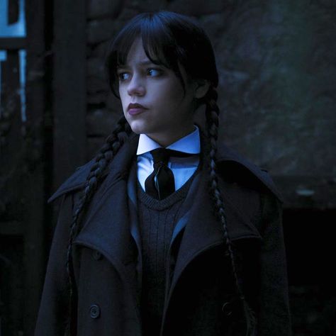 Wednesday Addams Birthday, Wednesday 2022, Wednesday Party, Addams Family Costumes, Wednesday Movie, Addams Family Wednesday, Tv Icon, The Addams Family, Color Vibe