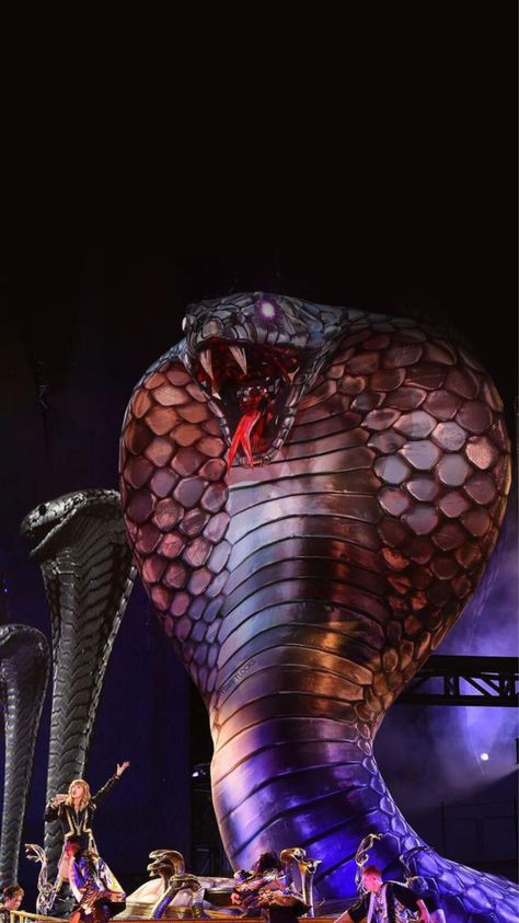 Taylor Swift Aesthetic Wallpaper, Snake Aesthetic, Reputation Snake, Snake Costume, Reputation Tour, Taylor Swift Aesthetic, Ocean Blue Eyes, Taylor Swift Tour Outfits, Swift Tour