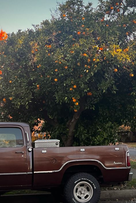 Old truck aesthetic Calm Country Aesthetic, California Western Aesthetic, Vintage Trucks Aesthetic, Flatland Calvary Aesthetic, Old Pick Up Truck Aesthetic, Truck Asthetic Picture, Cozy Country Aesthetic, 60s Southern Aesthetic, Retro Pictures Aesthetic