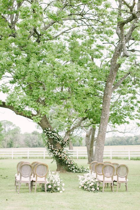 Modern Outdoor Wedding, Tree Installation, Wedding Flower Types, Sunset Pastel, Unique Wedding Invitation, Aisle Flowers, Wedding Arches, Modern Wedding Decor, Wedding Intimate