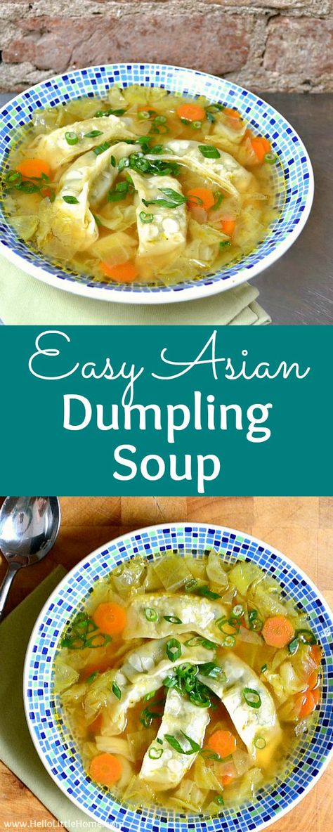 Asian Dumpling Soup, Chinese Dumpling Soup, Dumpling Soup Recipe, Vegetarian Asian, Chinese Dumpling, Asian Soup Recipes, Dumpling Soup, Frozen Dumplings, Dumplings For Soup