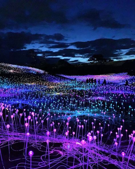 LA Bucket List 🌴 on Instagram: “Have you been to the Bruce Munro Field of Light yet? - 15 acres of hills covered in glowing lights 🌌😲Open to the public Wednesdays through…” Bruce Munro, Colorful Lights, Fantasy Places, Sendai, Beautiful Places To Travel, Gymnast, Pretty Places, Fantasy Landscape, Beautiful Wallpapers